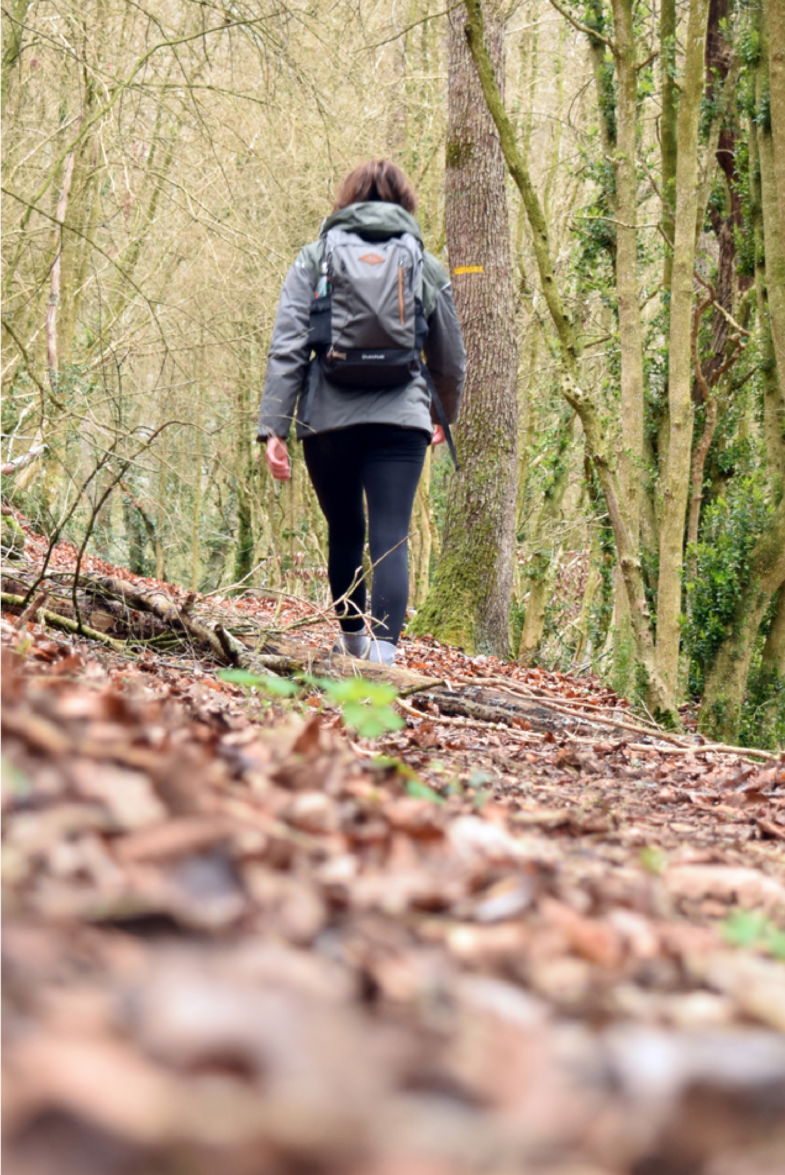 rando-itinerance-sud-aveyron-tarn