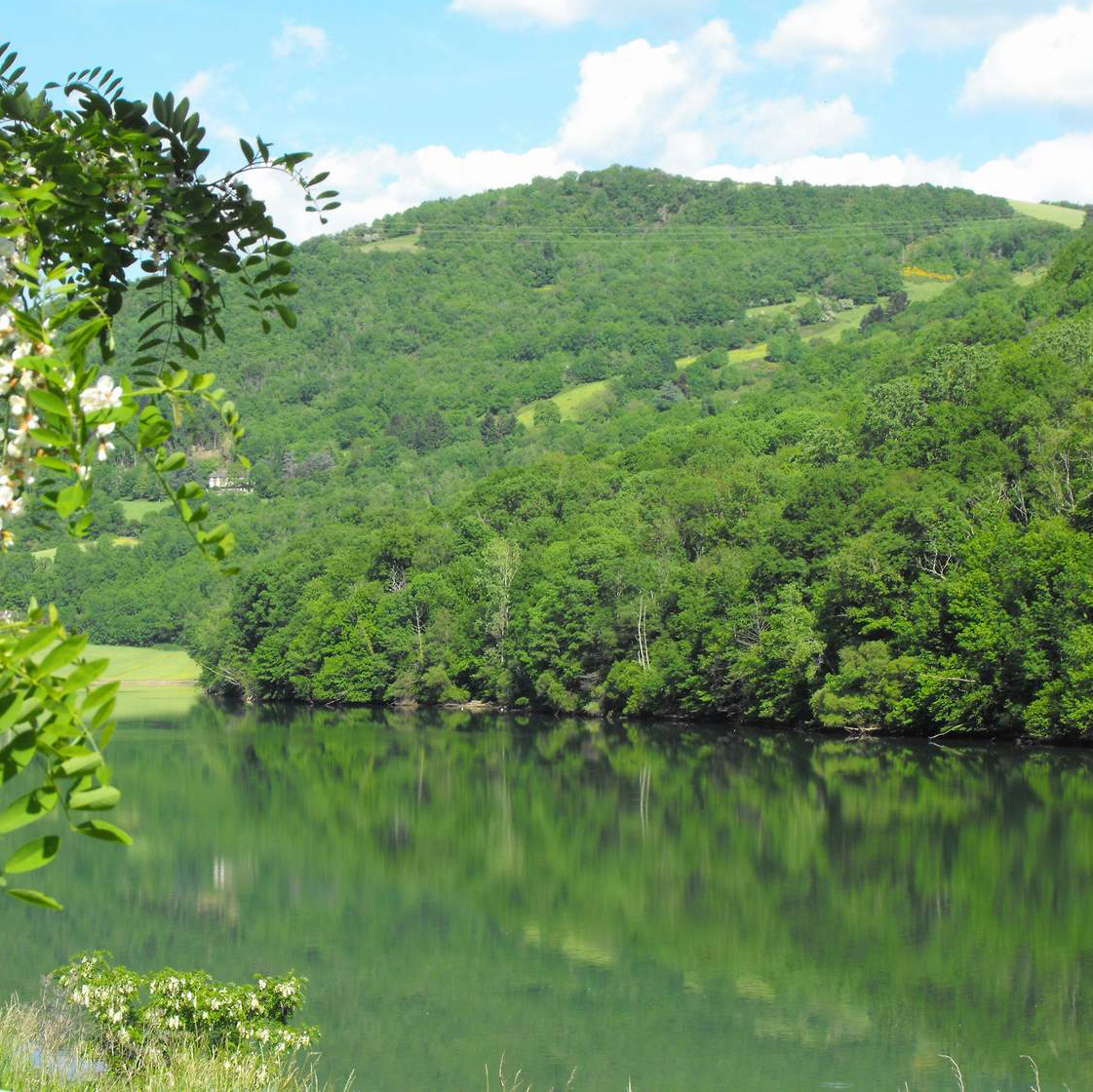 peche-carpe-aveyron-croux-tarn