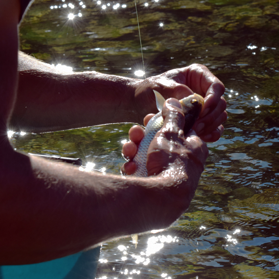 peche-aveyron-tarn-lac-blanc