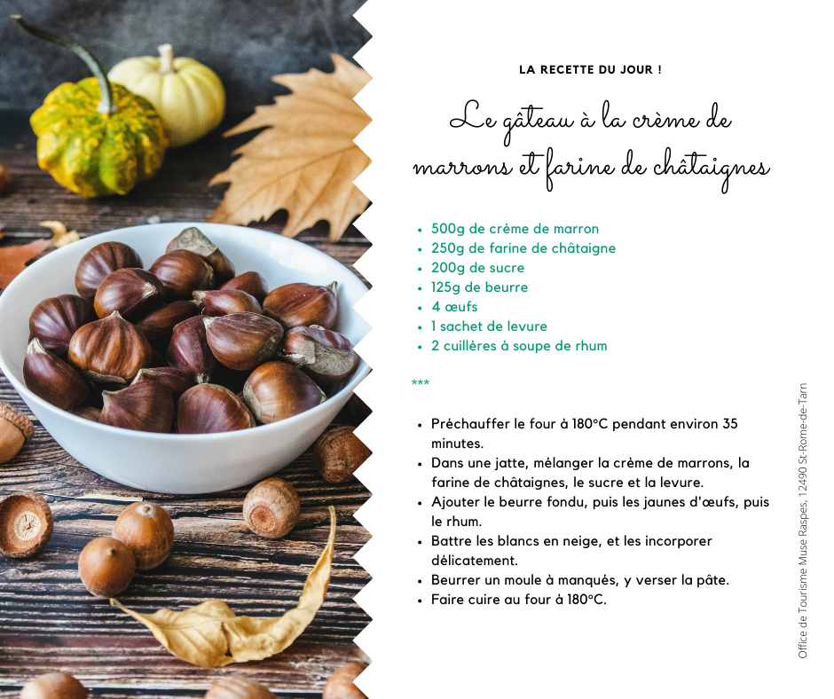 gateau-marron-chataigne-recette